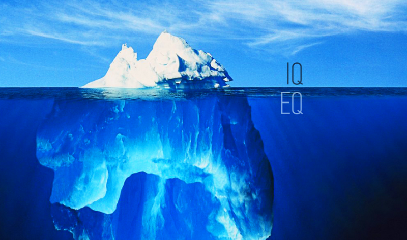 Emotional Intelligence